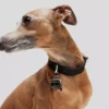K/PET-HALSBAND K/PET-HALSBAND