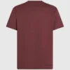 KAMEO V-NECK T-SHIRT